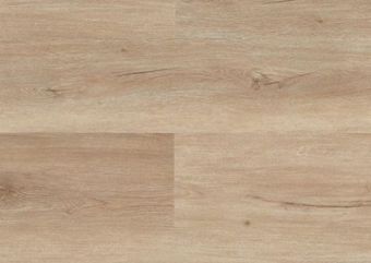 Champagne Oak