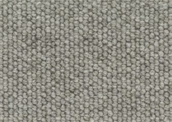 Oyster Shell