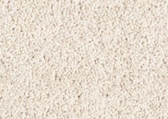Raw Cotton