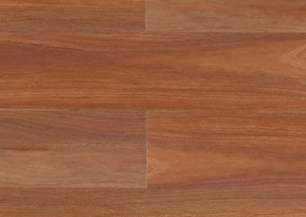 Classic Spotted Gum